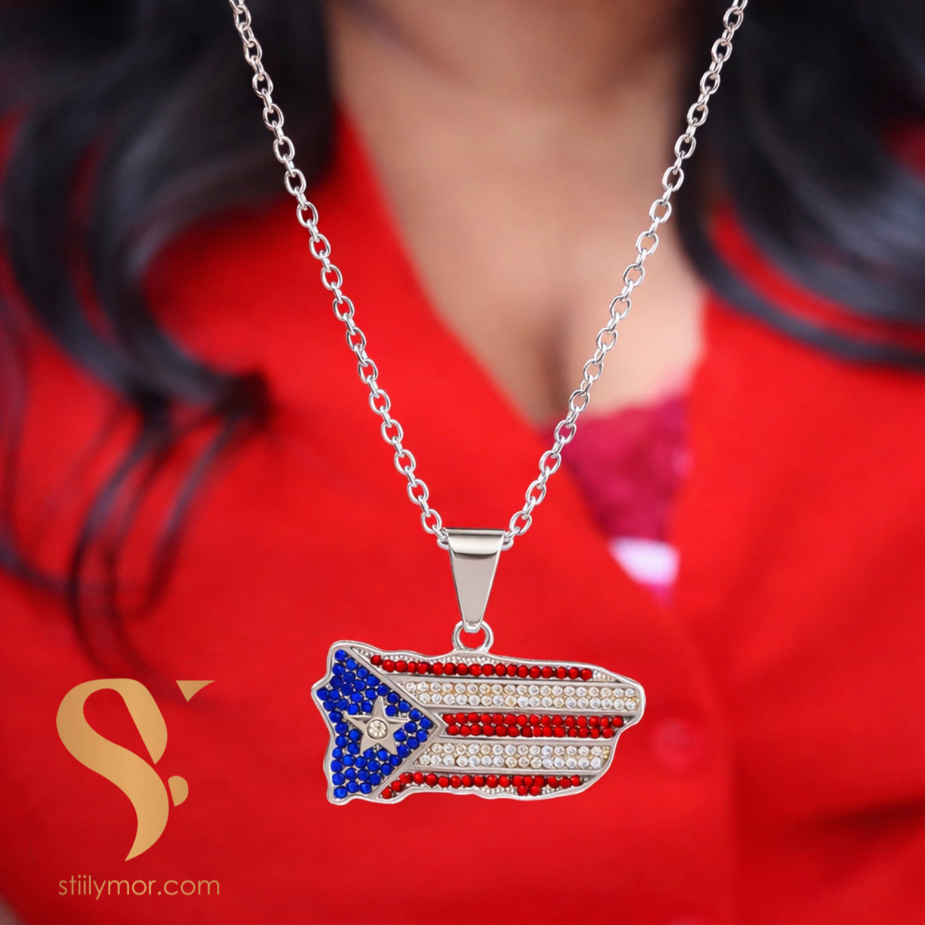 Charm mapa PR plateado